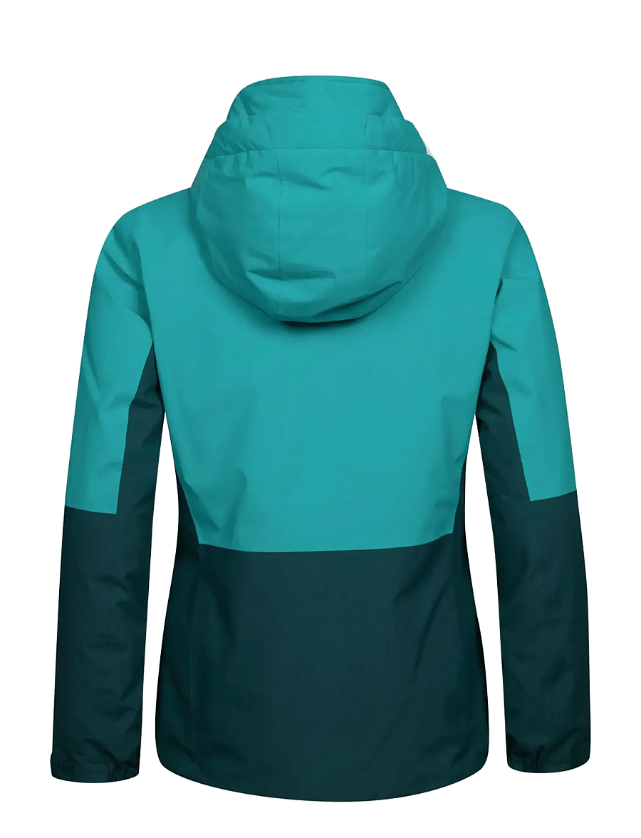Halti - Melvik W Dx ski jacket - ski-kleidung - i55 lapis green - 1