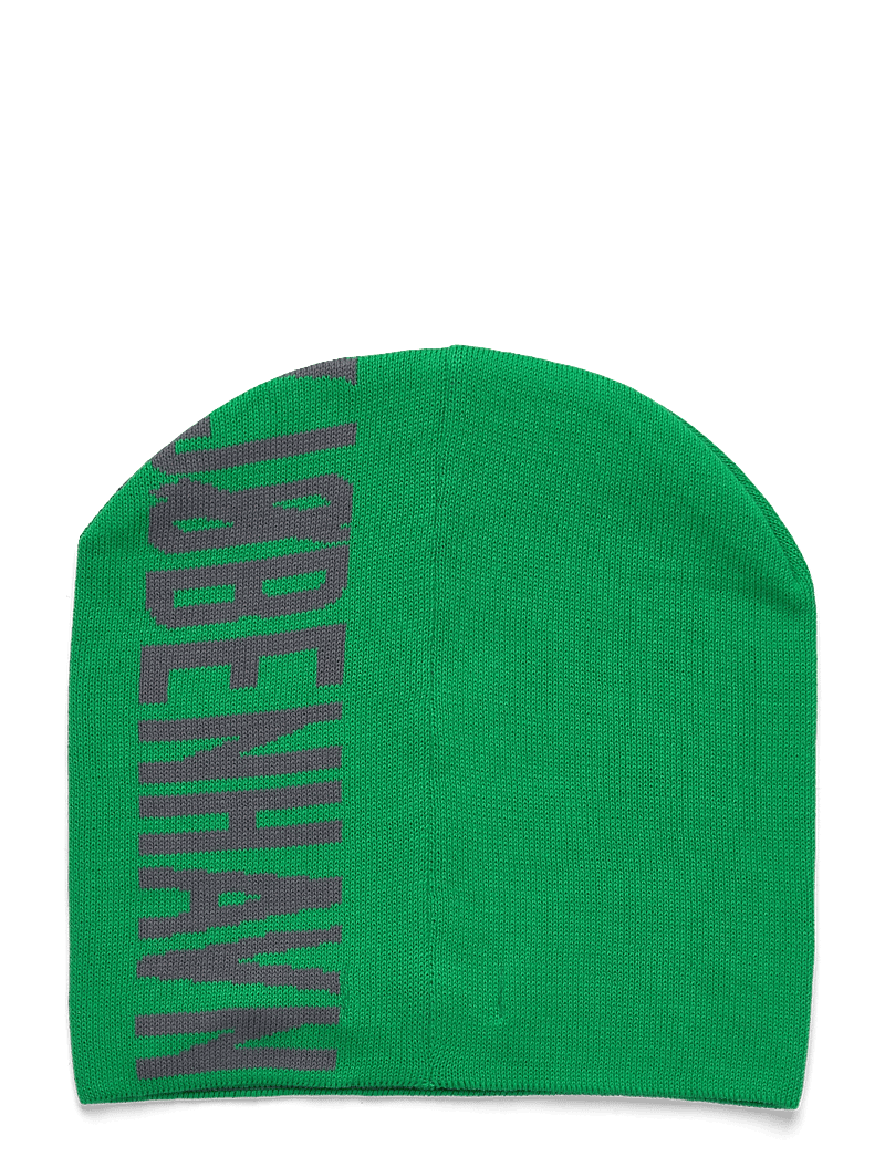 HAN Kjøbenhavn - Logo Cuffless Beanie - mütsid ja nokkmütsid - vibrant green - 2