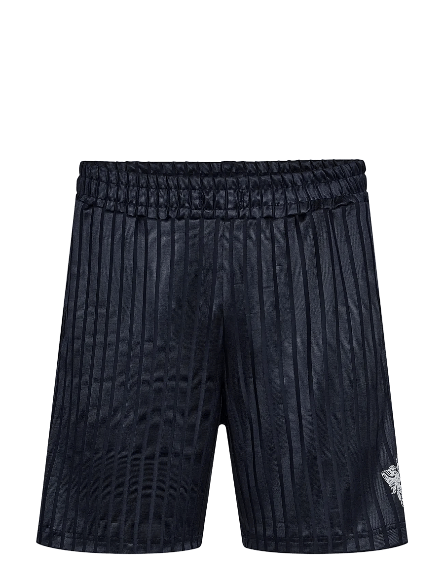 HAN Kjøbenhavn - Dynatek Football Shorts - lühikesed treeningpüksid - dark navy blue - 1