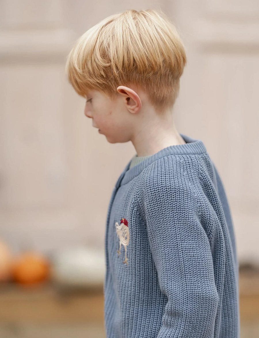 Hanevild - Kaj cardigan - cardigans - blue blizzard - 4