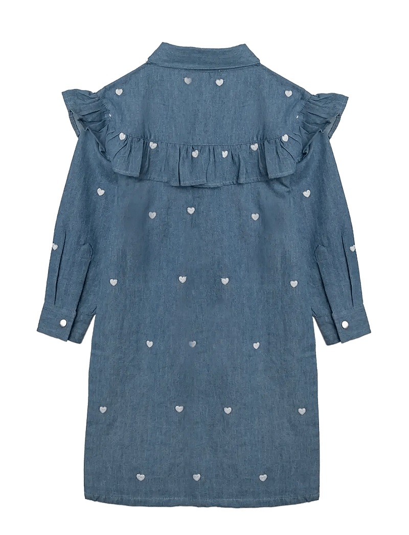 Hanevild - Denim dress - (girl) Mother, daugther, son outfit - långärmade babyklänningar - denim - 2