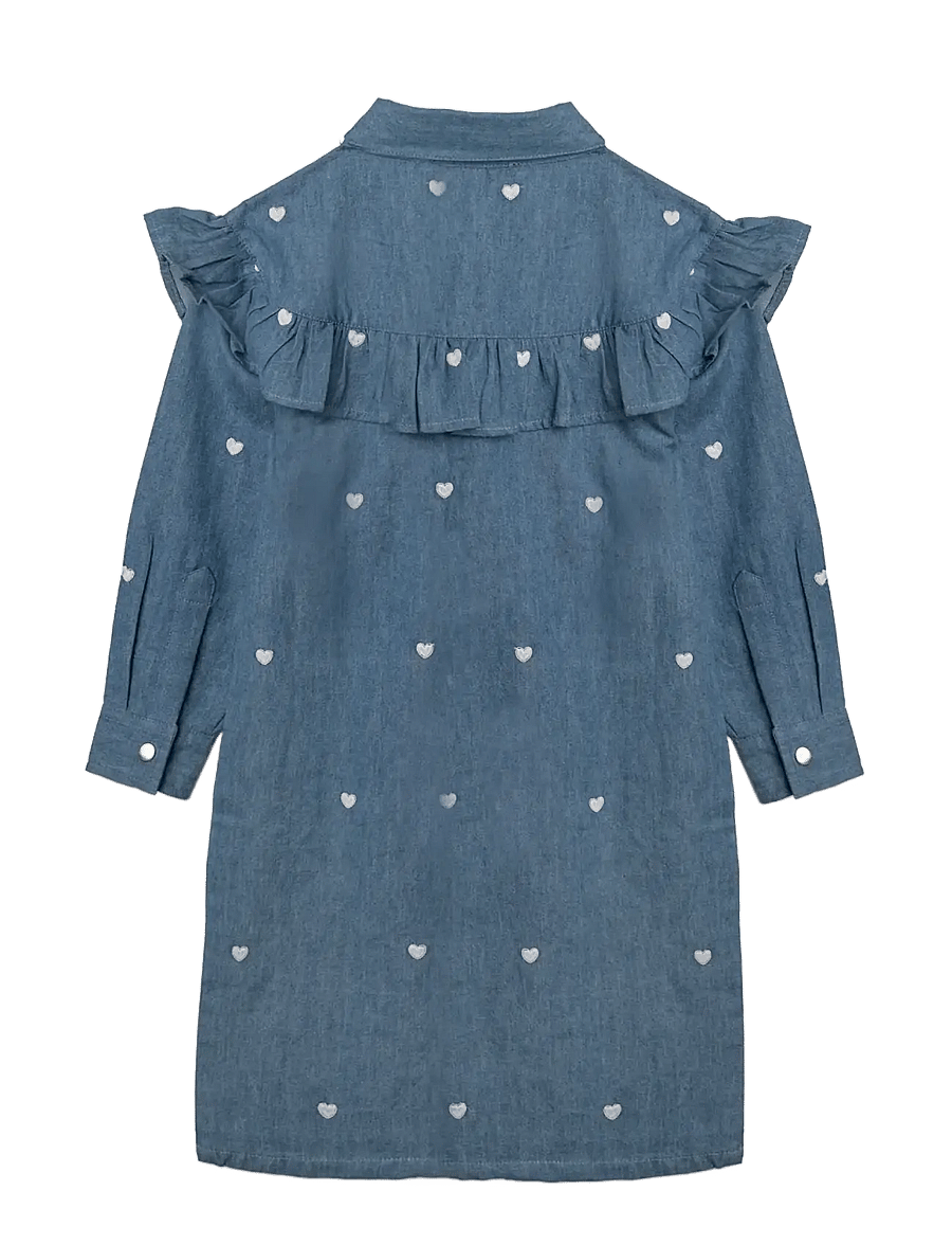 Hanevild - Denim dress - (girl) Mother, daugther, son outfit - langærmede babykjoler - denim - 2