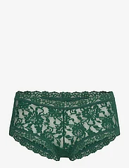 Hanky Panky - Hanky Panky Signature Lace - hipsters & hotpants - green queen - 0