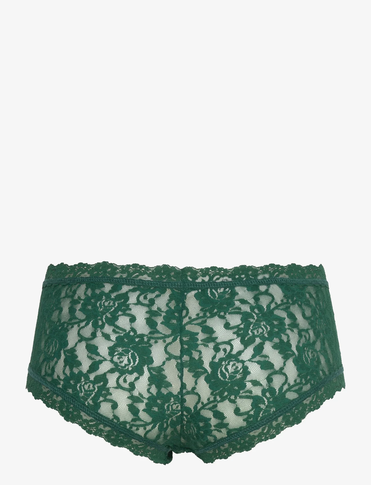 Hanky Panky - Hanky Panky Signature Lace - hipsters & boyshorts - green queen - 1
