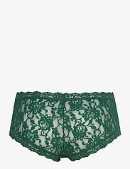 Hanky Panky - Hanky Panky Signature Lace - hipsters & hotpants - green queen - 1