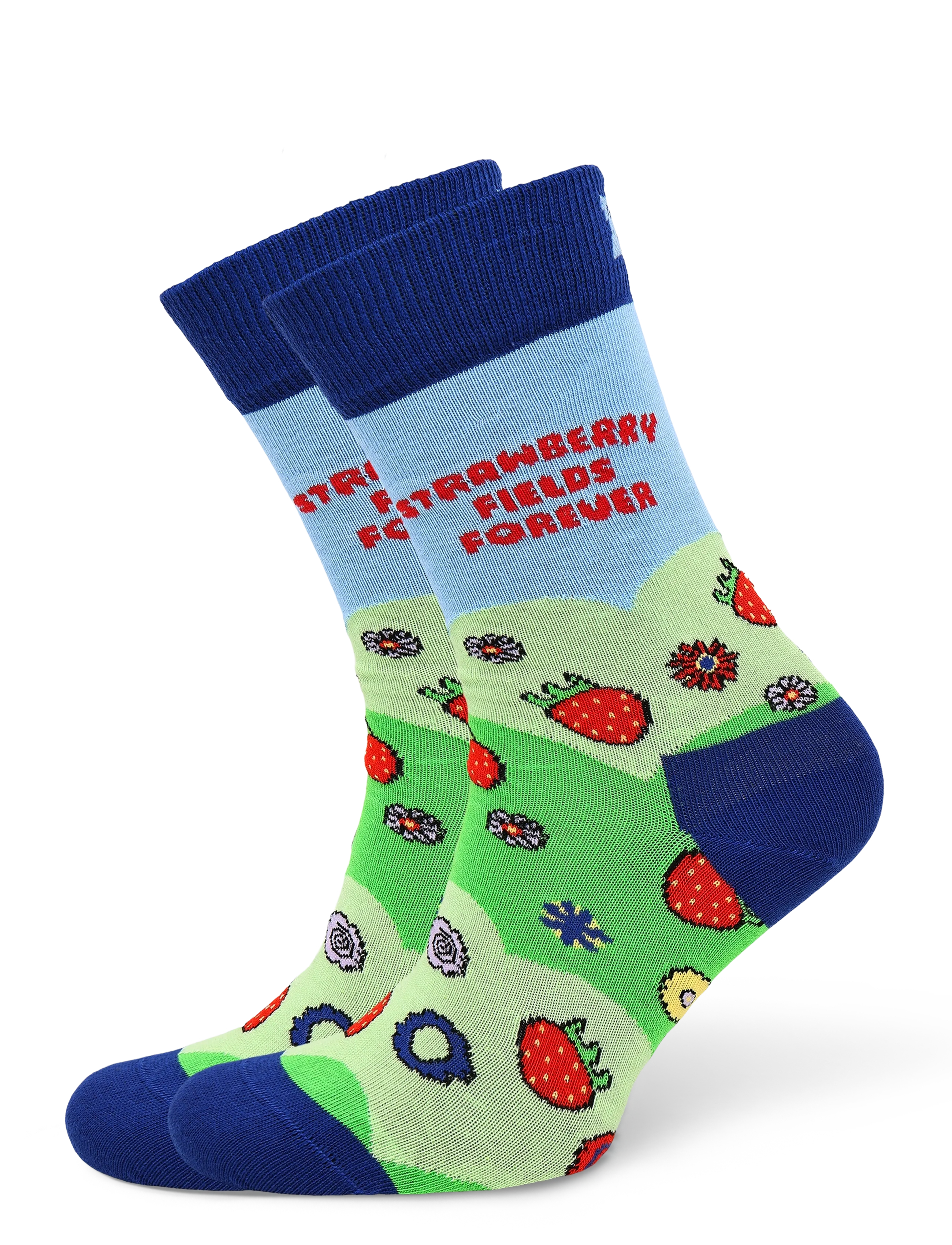 Happy Socks The Beatles Strawberry Fields Sock - Sokker - GREEN / green