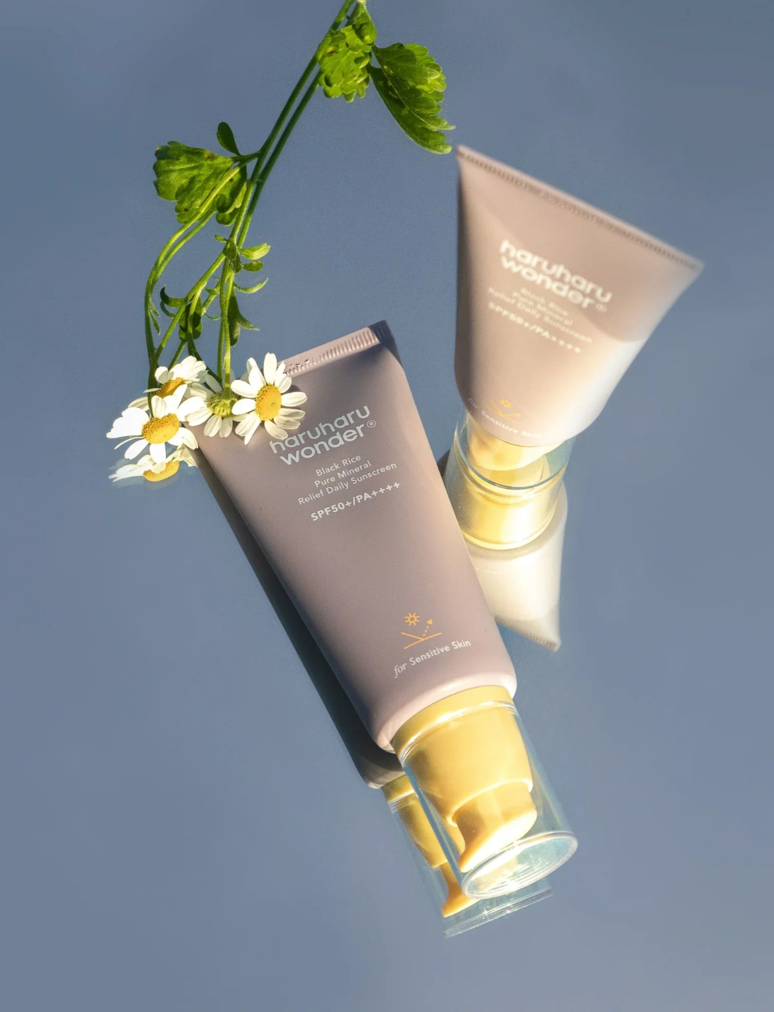 Haruharu Wonder - Black Rice Pure Mineral Relief Daily Sunscreen SPF50+ PA++++ - clear - 4