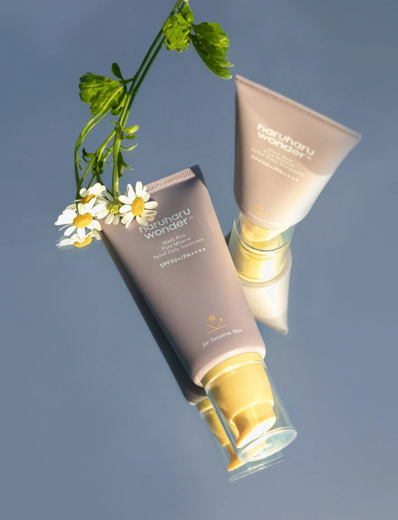 Black Rice Pure Mineral Relief Daily Sunscreen Spf50+ Pa++++ 3