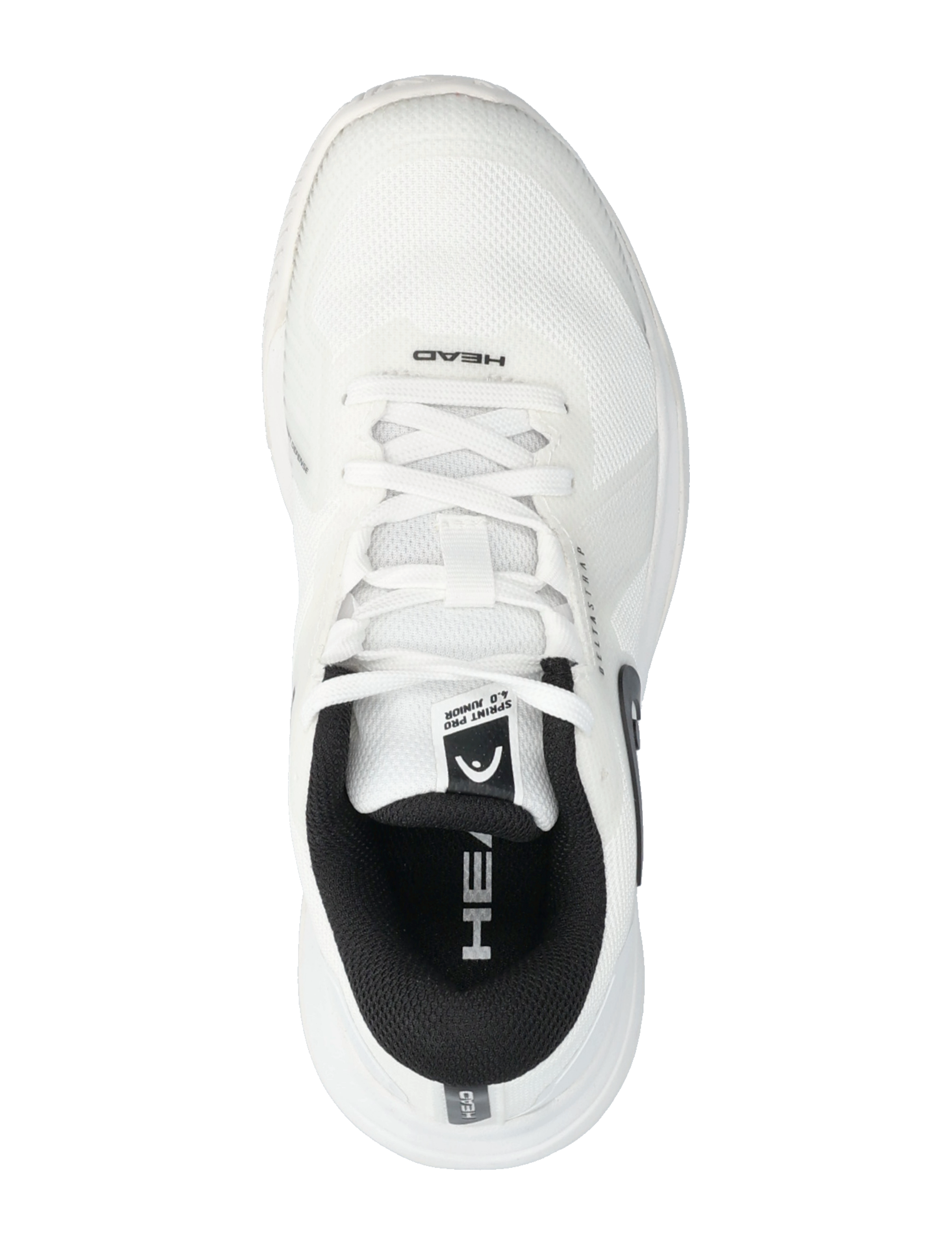 Head - Sprint Pro 4.0 Junior WHBK - sommarfynd - white/black - 3