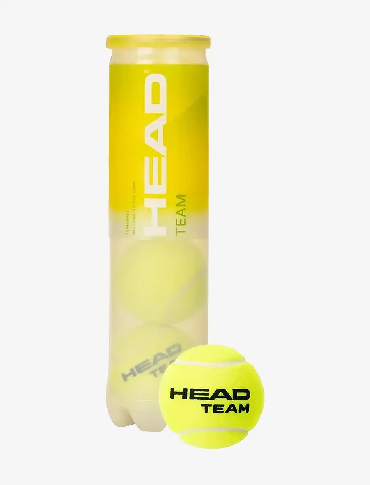 Head - 4B HEAD TOUR - 6DZ - mixed - 1
