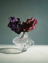 Hein Studio - Canyon glasvas - stor - stora vaser - clear - 5