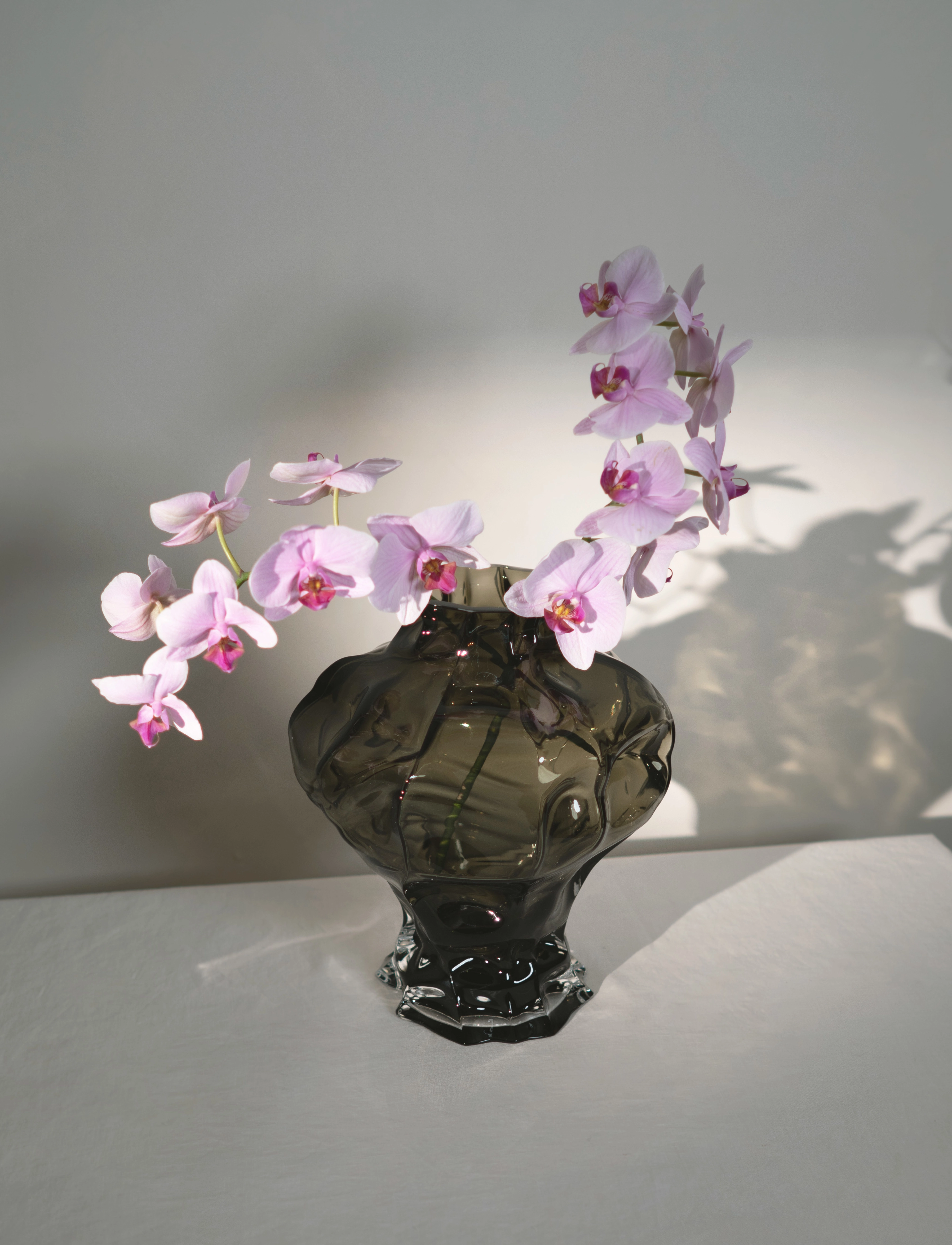 Hein Studio Ammonit, H30 cm, Decoration, Grün - Vases, Homeware