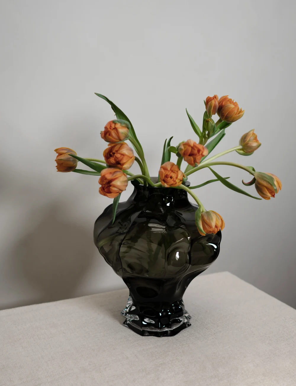 Hein Studio - Ammonit - nach preis einkaufen - new smoke - 2