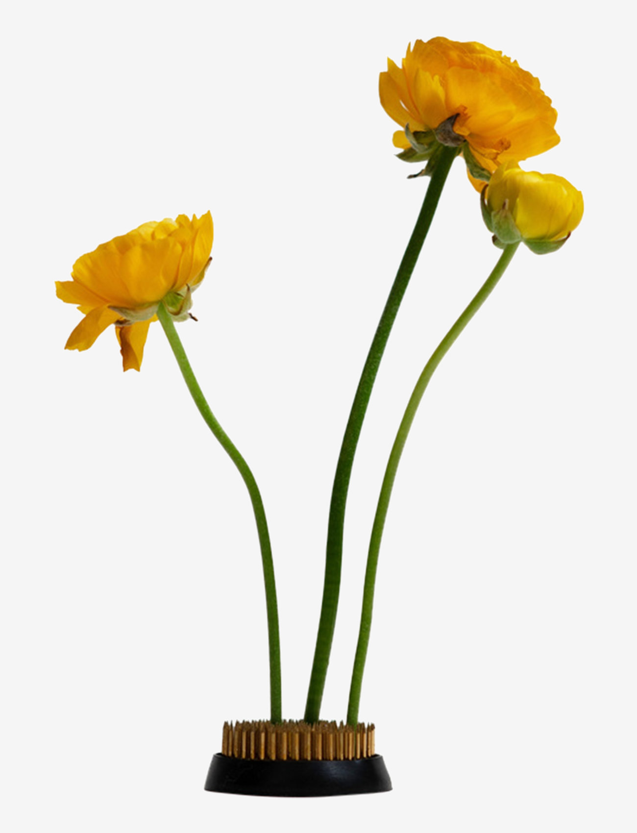 Hein Studio - Kenzan - køb efter pris - chrome - 0