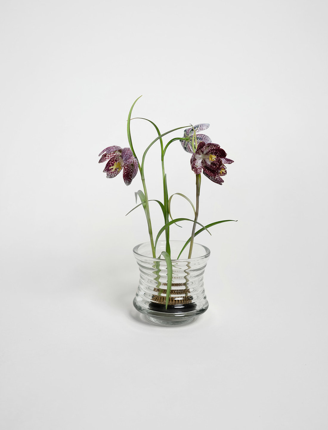 Hein Studio - Kenzan - dekorationsdetaljer - chrome - 3