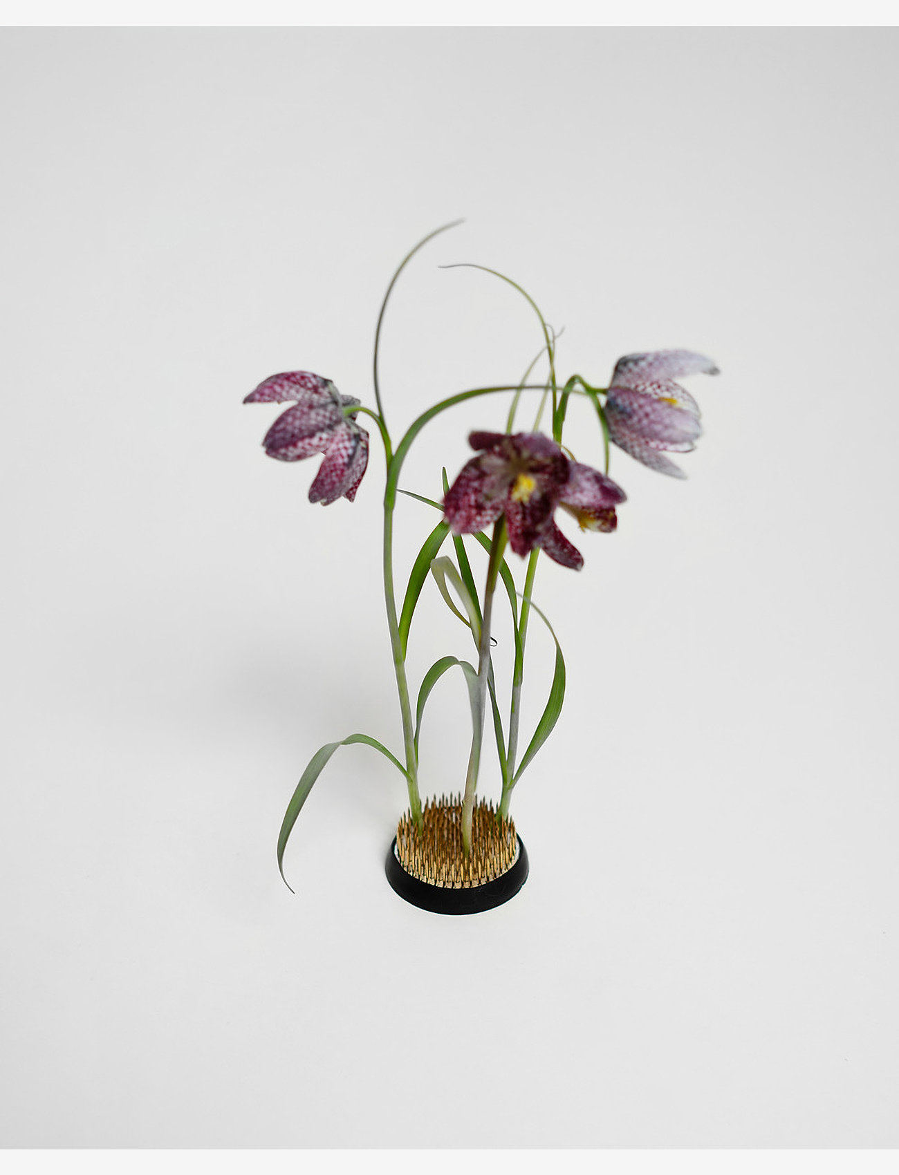 Hein Studio - Kenzan - køb efter pris - chrome - 2