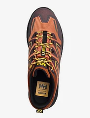 Helly Hansen - CASCADE LOW HT - hiking shoes - ginger bisc - 3