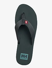 Helly Hansen - LOGO SANDAL 2 - flip flops - darkest spruce / oil blue - 3