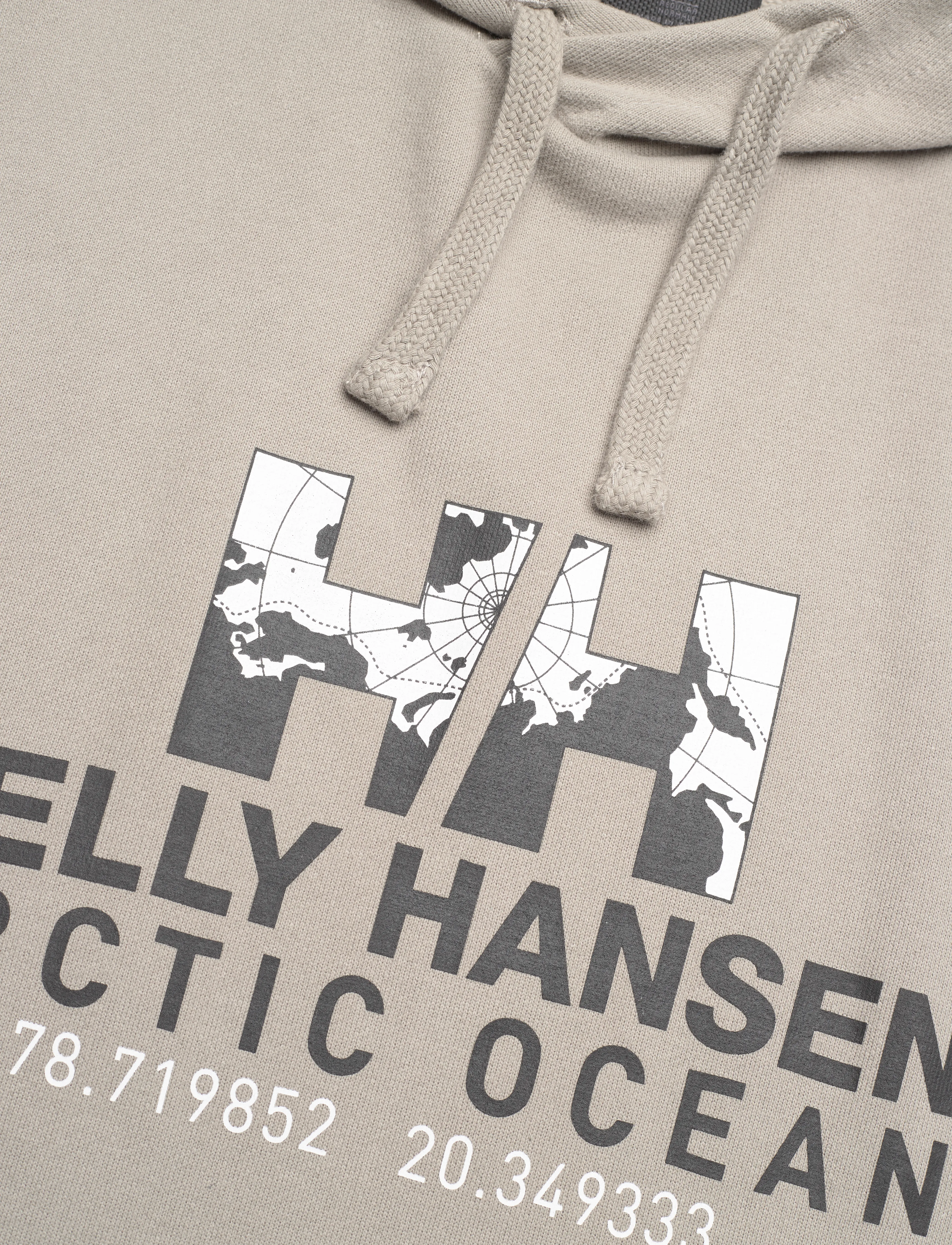 Helly Hansen - ARCTIC OCEAN HOODIE - terrazzo - 2