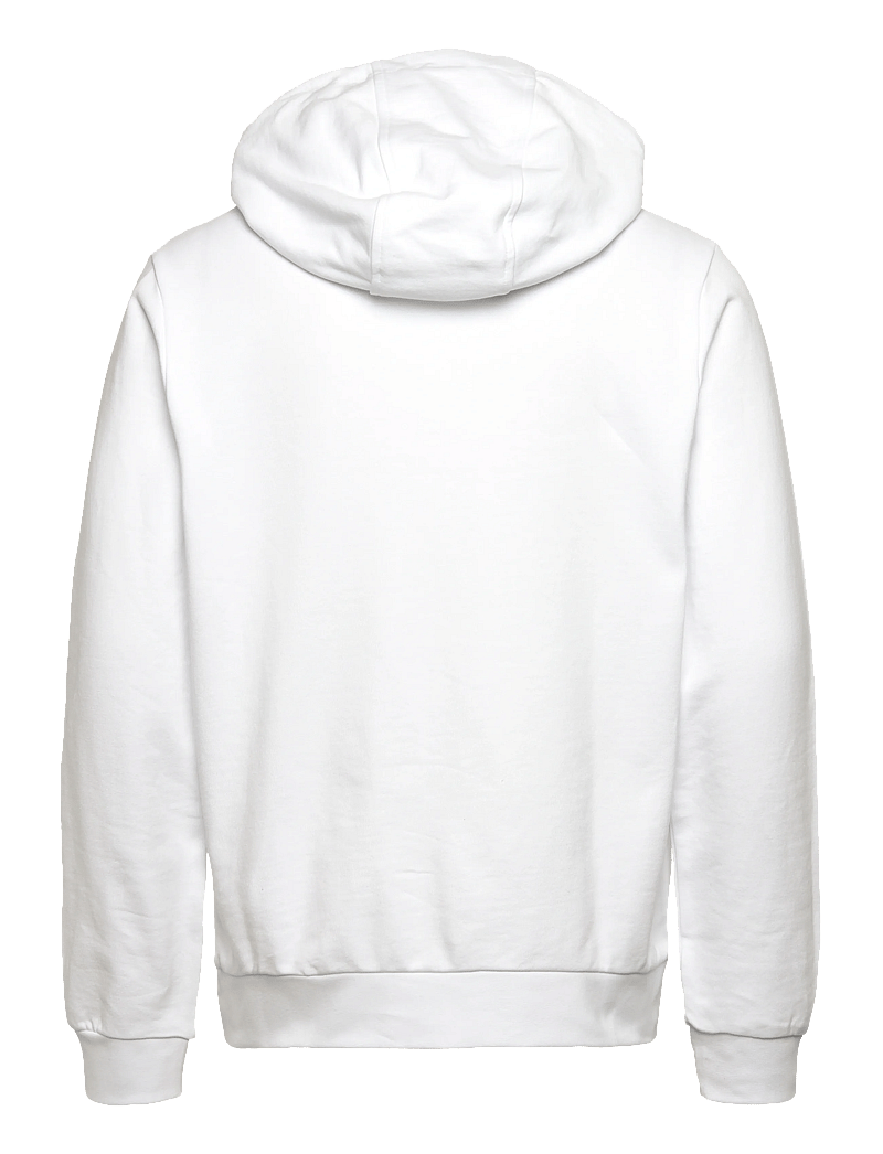Helly Hansen - HH LOGO HOODIE 2.0 - oberteile - white - 1