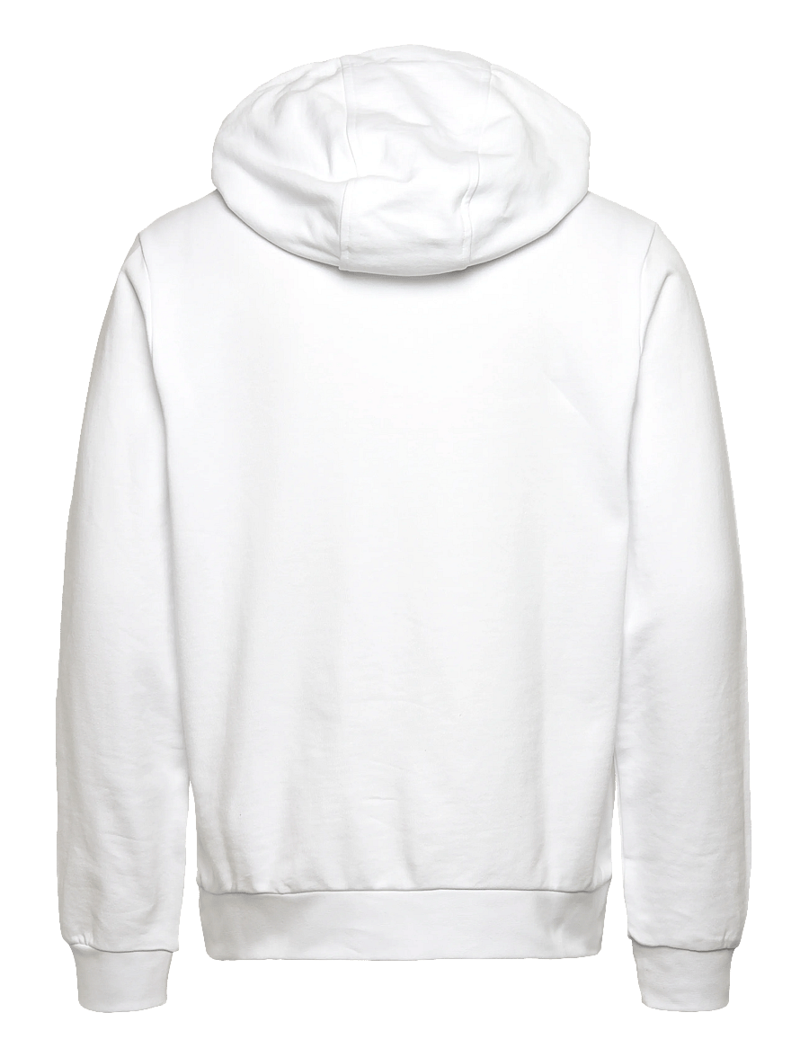Helly Hansen - HH LOGO HOODIE 2.0 - pulls a capuche - white - 1