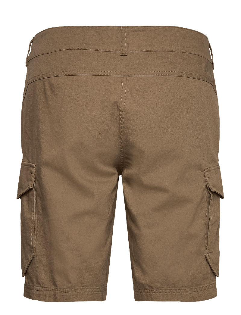 Helly Hansen - DOCK CARGO SHORTS - uformelle shorts - bedrock - 1
