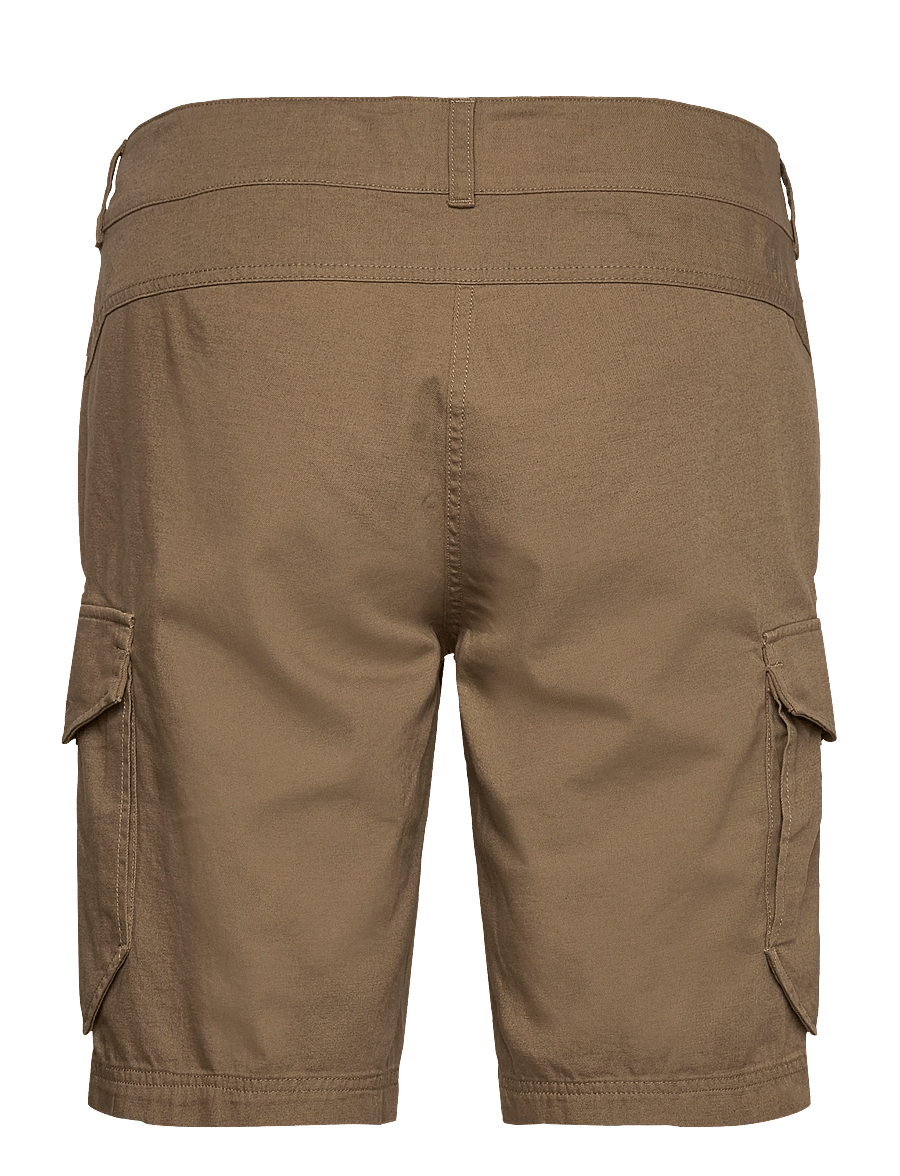 Helly Hansen - DOCK CARGO SHORTS - Šorti āra aktivitātēm - bedrock - 1