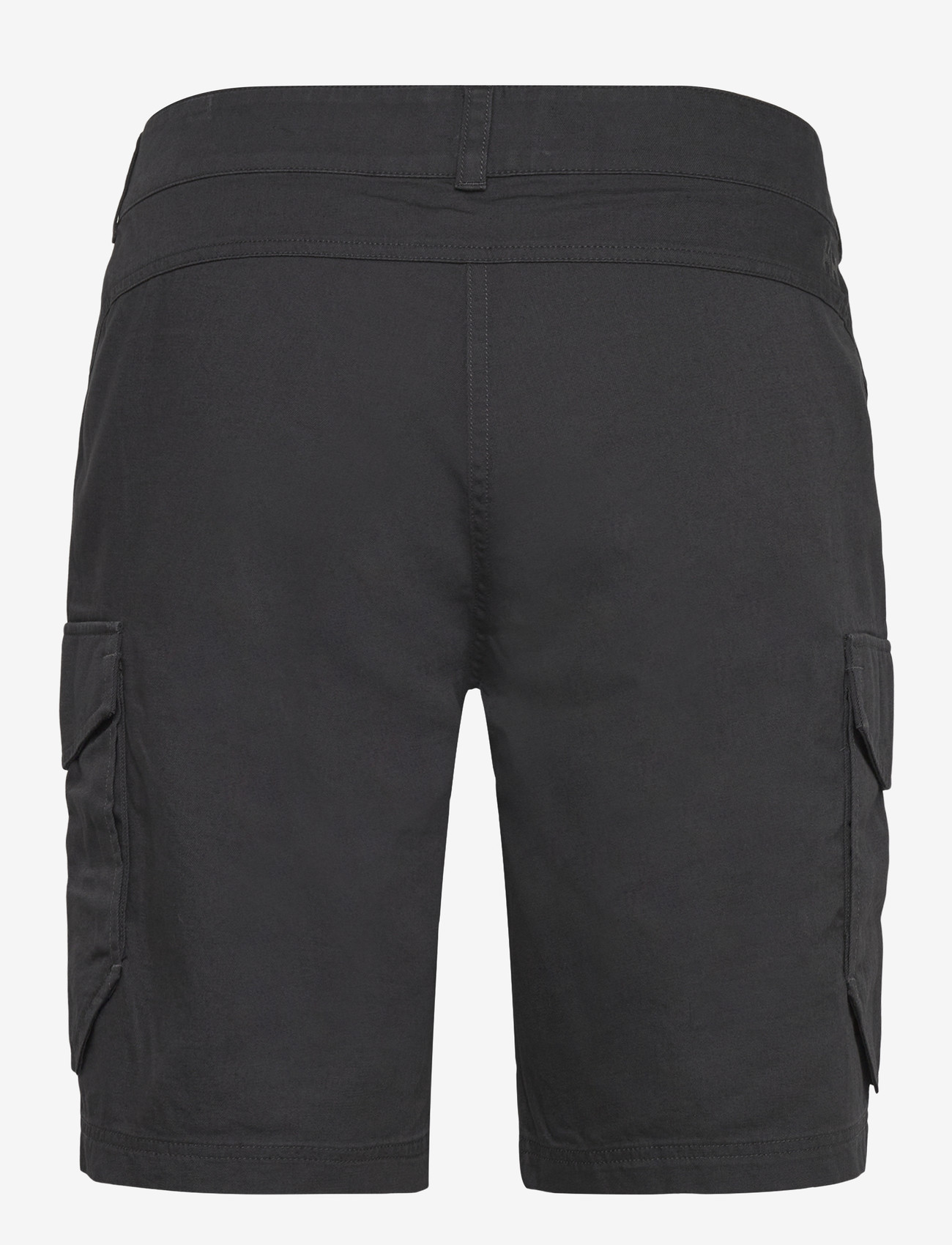 Helly Hansen - DOCK CARGO SHORTS - friluftsshorts - ebony - 1