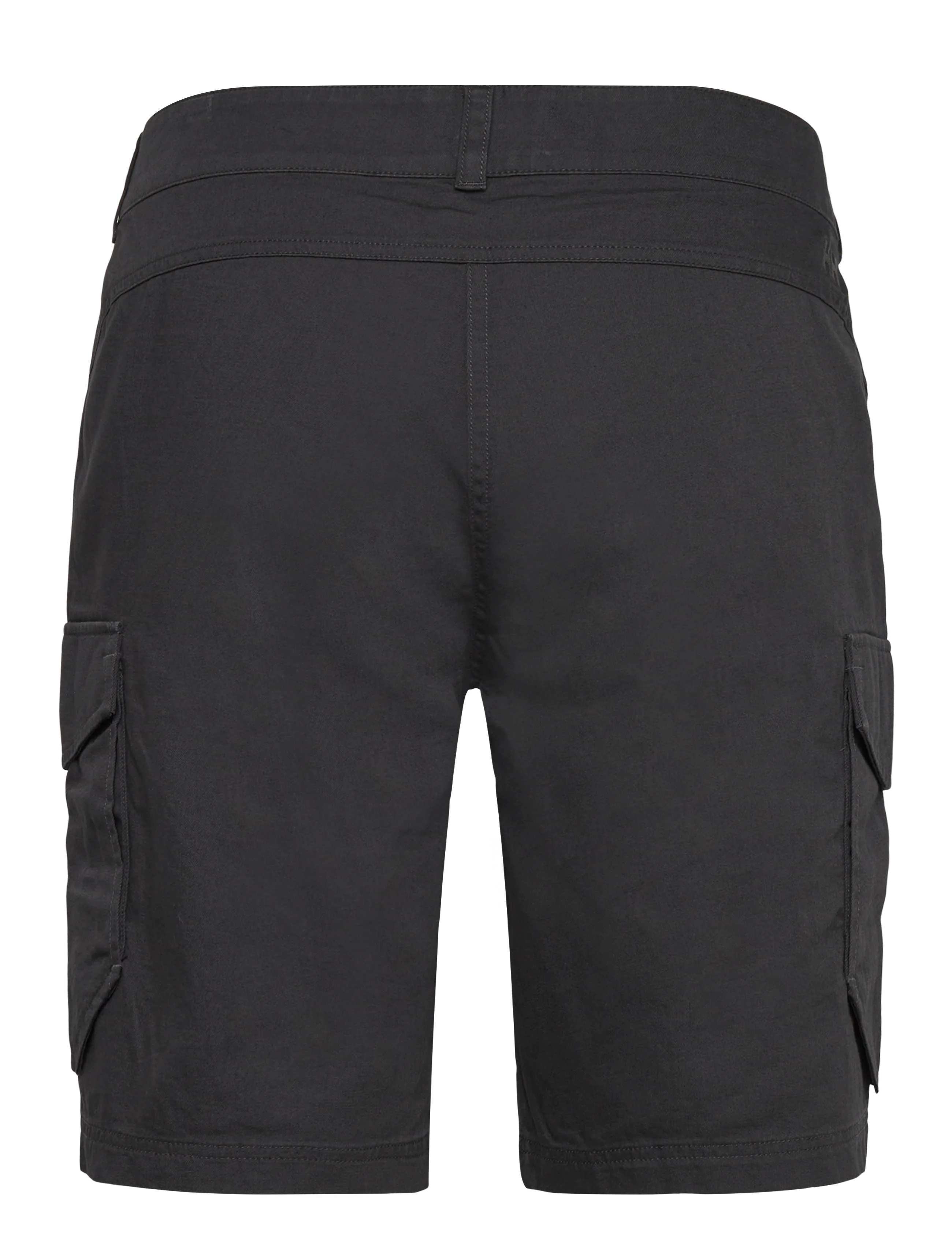Helly Hansen - DOCK CARGO SHORTS - outdoor shorts - ebony - 1