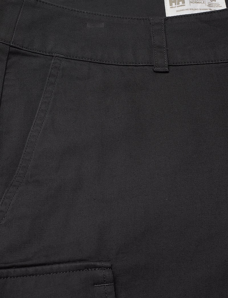 Helly Hansen - DOCK CARGO SHORTS - friluftsshorts - ebony - 2