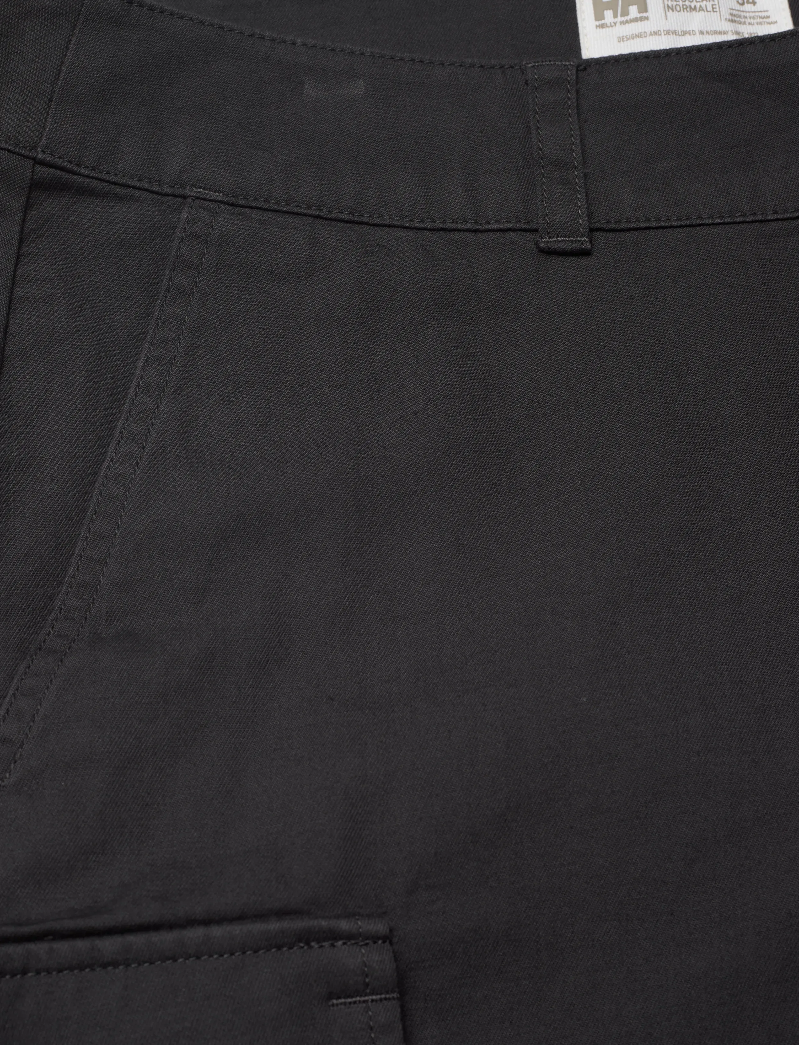 Helly Hansen - DOCK CARGO SHORTS - outdoor shorts - ebony - 2