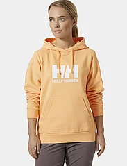 Helly Hansen - W HH LOGO HOODIE 2.0 - sweatshirts en hoodies - miami peach - 2