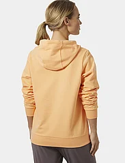 Helly Hansen - W HH LOGO HOODIE 2.0 - sweatshirts en hoodies - miami peach - 3