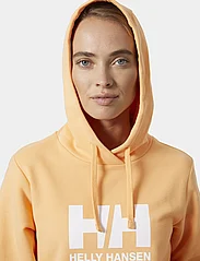 Helly Hansen - W HH LOGO HOODIE 2.0 - sweatshirts en hoodies - miami peach - 5