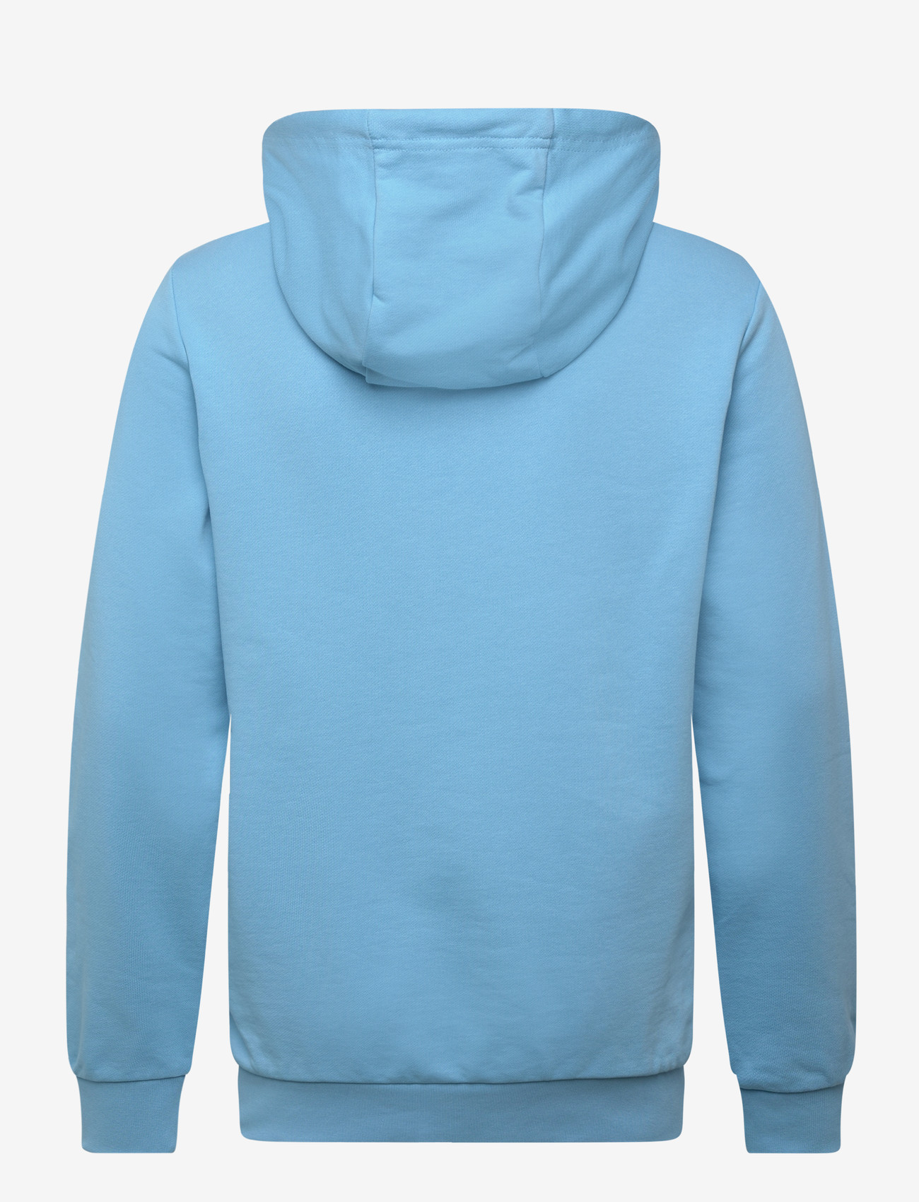 Helly Hansen - SALT COTTON HOODIE - overdele - aqua - 1