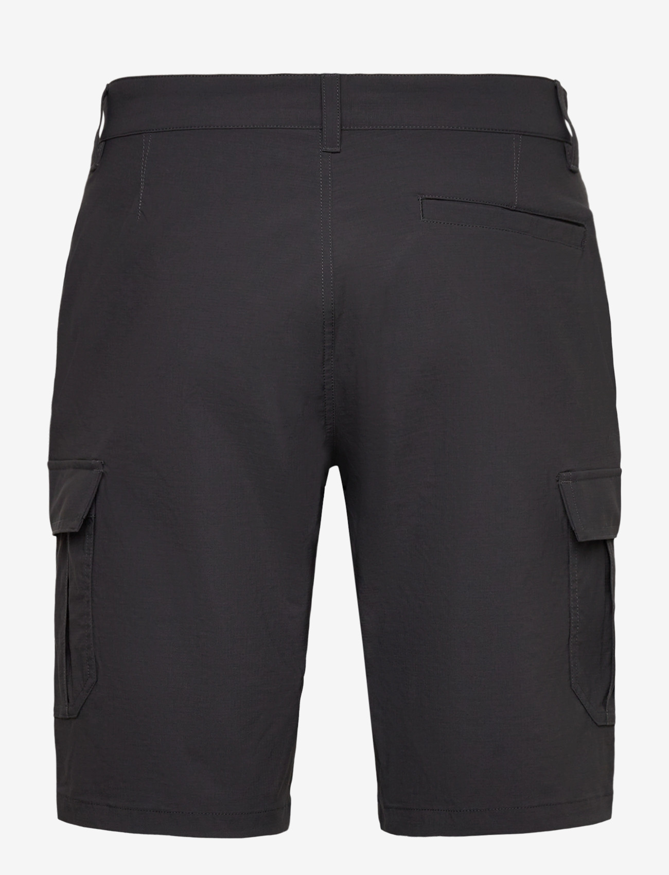 Helly Hansen - HH QD CARGO SHORTS 11" - friluftsshorts - ebony - 2
