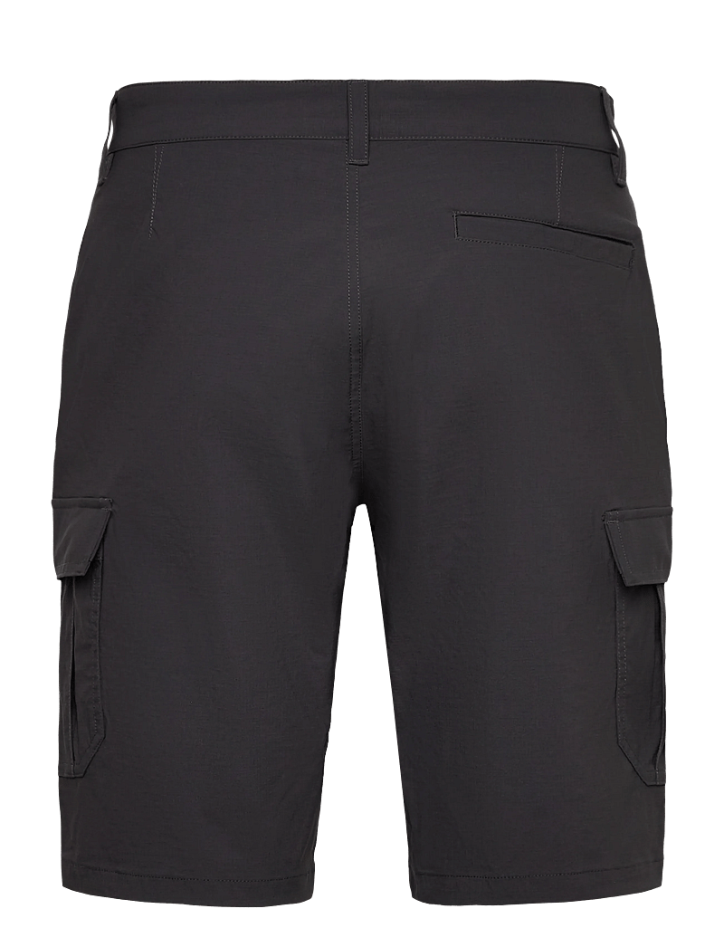 Helly Hansen - HH QD CARGO SHORTS 11" - friluftsshorts - ebony - 2