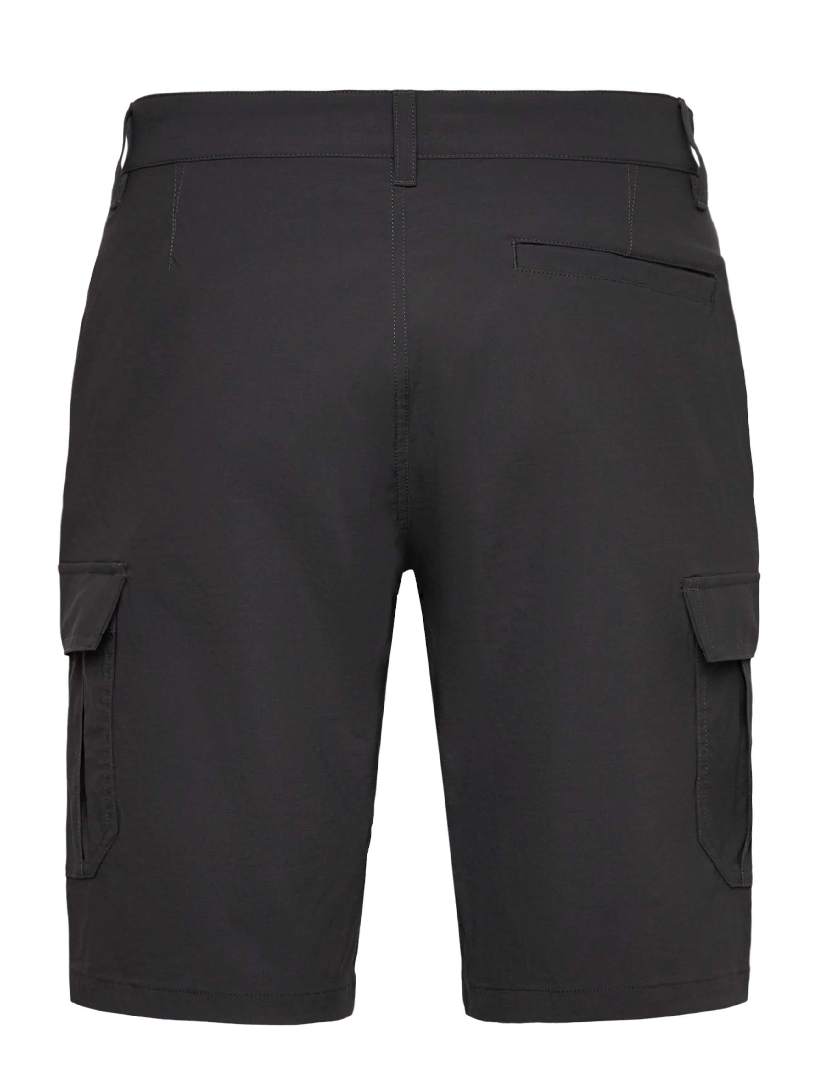 Helly Hansen - HH QD CARGO SHORTS 11" - outdoorshorts - ebony - 2