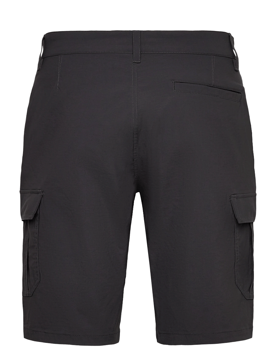 Helly Hansen - HH QD CARGO SHORTS 11" - outdoorshorts - ebony - 2