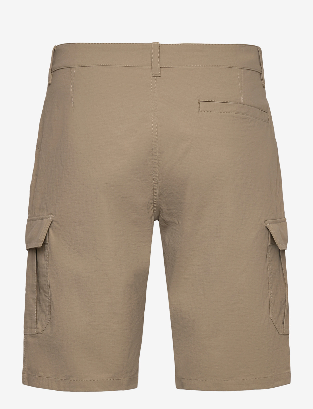 Helly Hansen - HH QD CARGO SHORTS 11" - friluftsshorts - pebble - 1