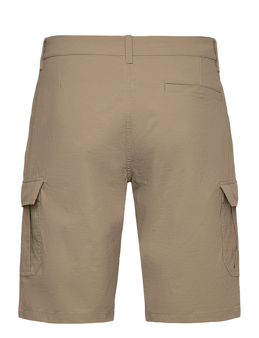 Helly Hansen - HH QD CARGO SHORTS 11" - friluftsshorts - pebble - 1