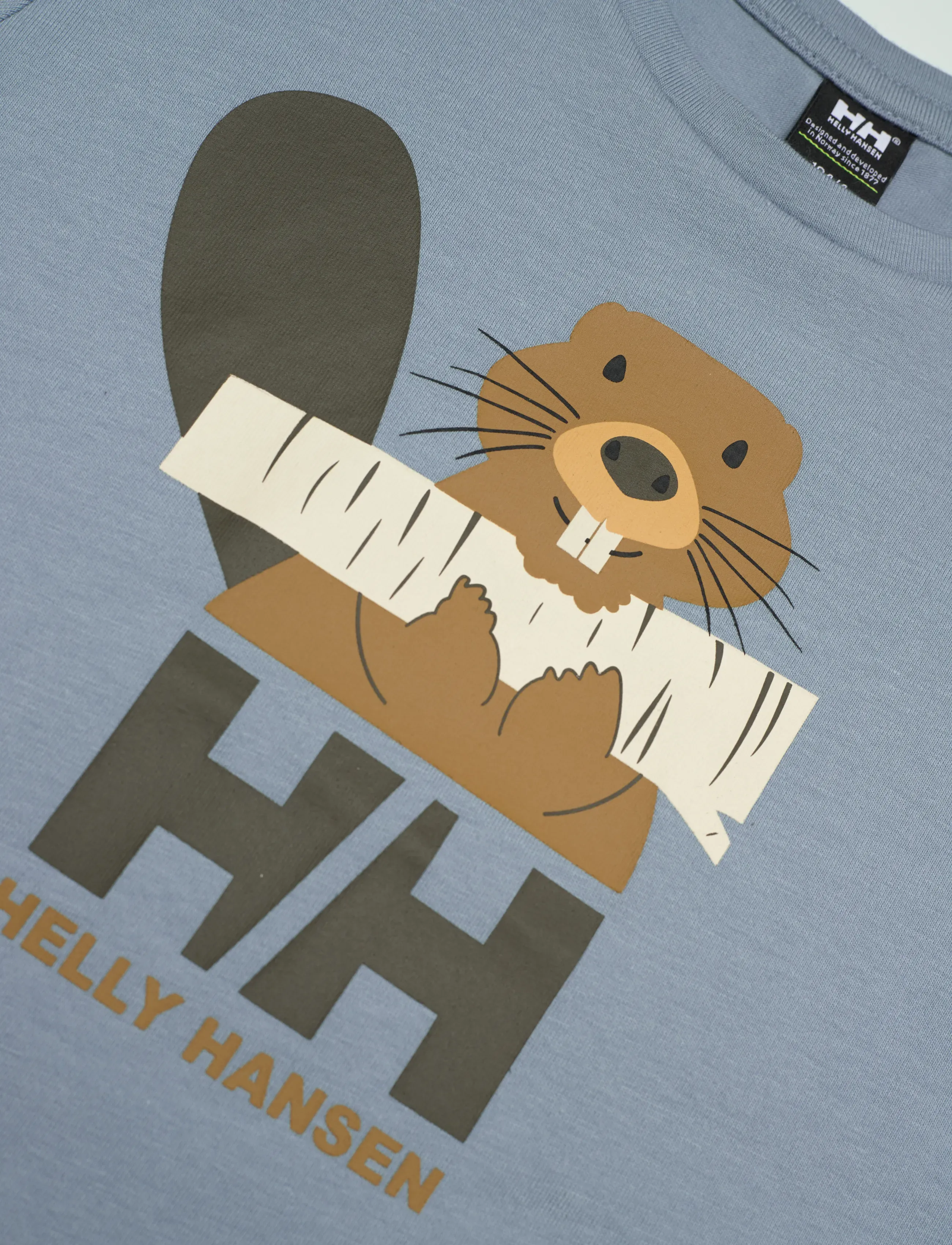 Helly Hansen - K HH GRAPHIC T-SHIRT - sportieve tops - windy blue - 2