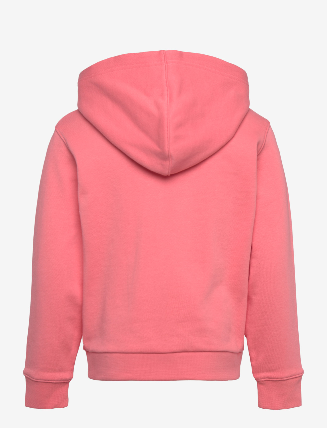 Helly Hansen - K HH LOGO HOODIE - hættetrøjer - coral almon - 2