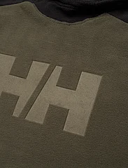 Helly Hansen - JR DAYBREAKER HOODIE - medvilniniai megztiniai ir džemperiai su gobtuvu - utility gre - 2