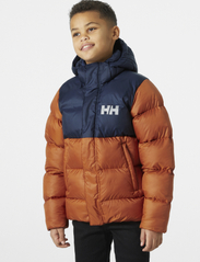 Helly Hansen - JR VISION PUFFY JACKET - untuva- & toppatakit - ginger bisc - 1