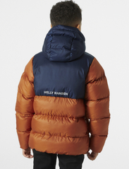 Helly Hansen - JR VISION PUFFY JACKET - untuva- & toppatakit - ginger bisc - 3