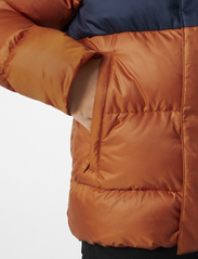Helly Hansen - JR VISION PUFFY JACKET - insulated jackets - ginger bisc - 4