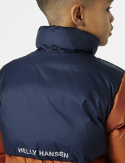 Helly Hansen - JR VISION PUFFY JACKET - insulated jackets - ginger bisc - 6