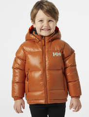 Helly Hansen - K ISFJORD DOWN JACKET - insulated jackets - ginger bisc - 1