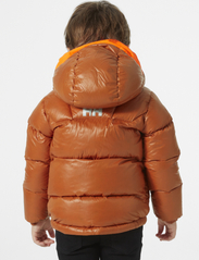 Helly Hansen - K ISFJORD DOWN JACKET - insulated jackets - ginger bisc - 2